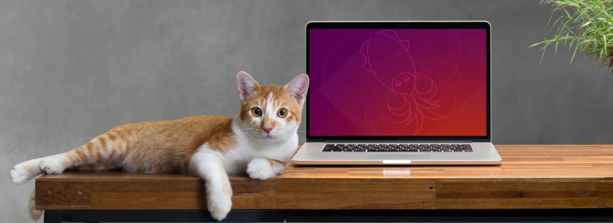 ubuntu