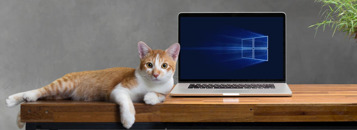 windows 10